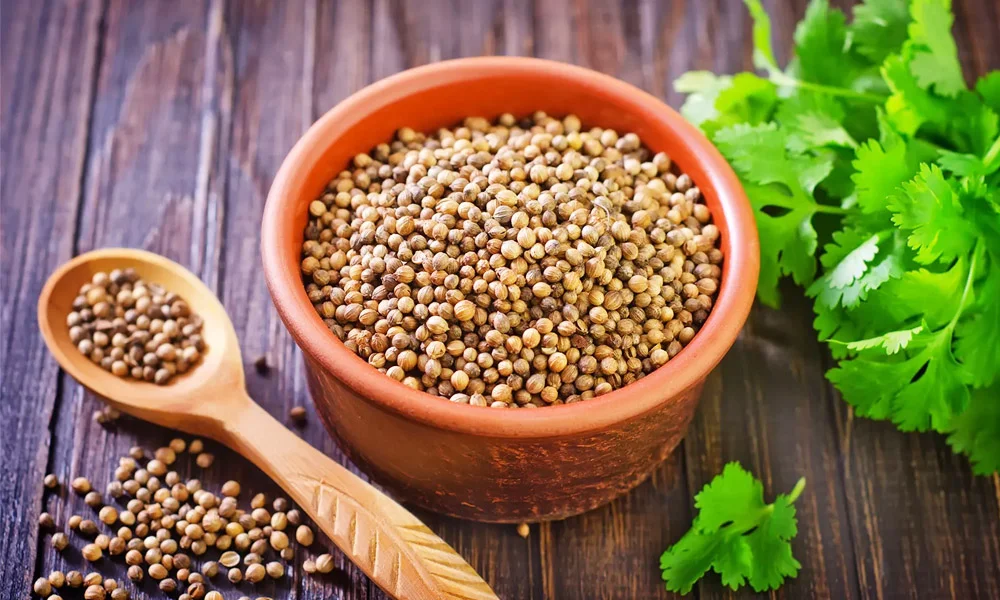 Exploring the Wonders of Koriandri: The Spice of Life Koriandri